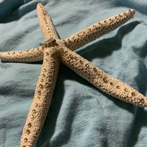 Double sided rhinestoned Starfish. Brand new